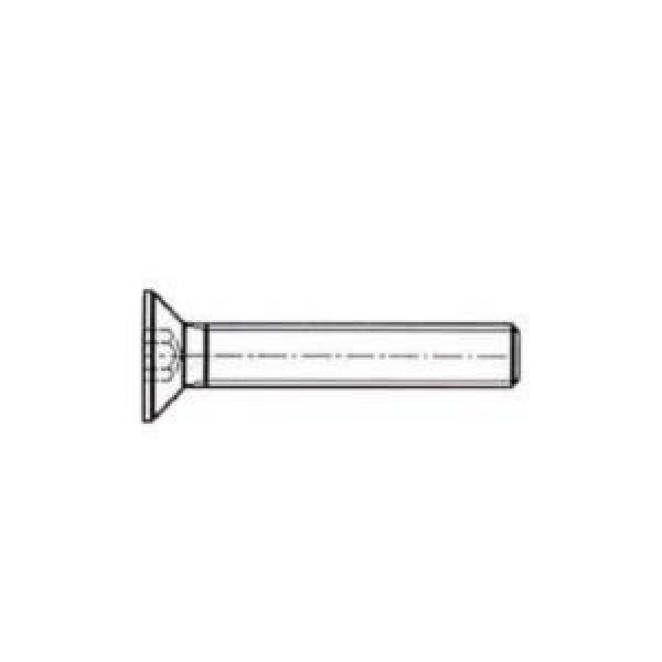 OB193 - VIS TSEI M8X40 ZINGUÉE BLANCHE
