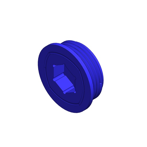 OB021 - FRONT BRAKE CALIPER PLUG